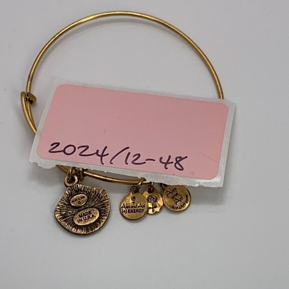 Alex and Ani Seashell Charm Bracelet Silver Gold Finish - Expands 2"- 3.5" - Picture 4 of 4